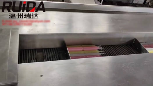 Envasado horizontal de polos (helados en palo) DXD-580W